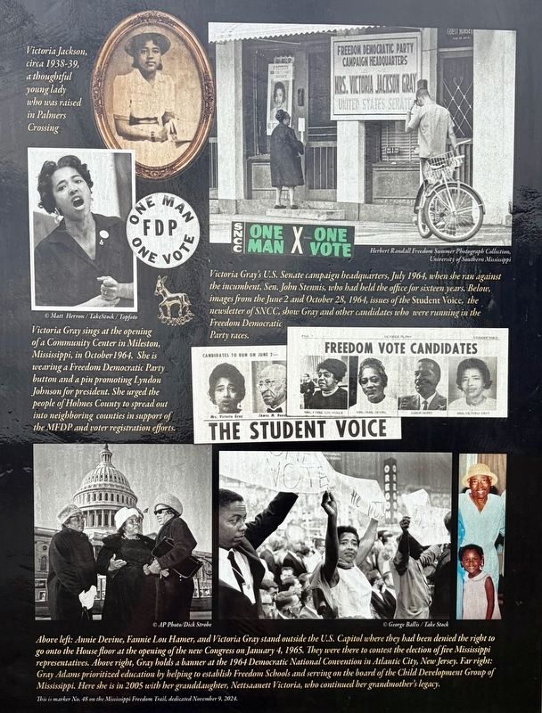 Victoria Jackson Gray Adams Marker. Click for full size. Victoria Jackson Gray Adams Marker image. Click for full size.