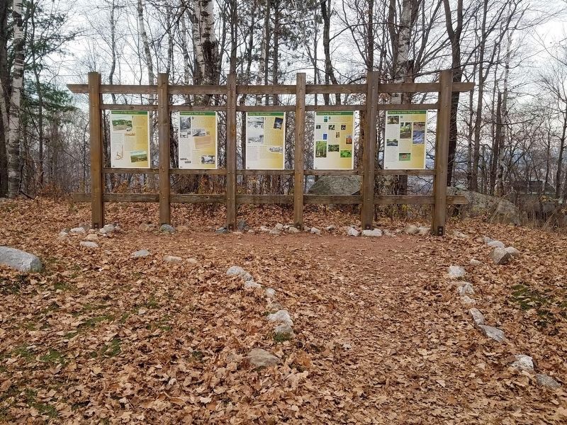 Roosevelt's Tree Army Marker (2nd panel from left) in Rib Mountain State Park. Click for full size. Roosevelt's Tree Army Marker (2nd panel from left) in Rib Mountain State Park image. Click for full size.