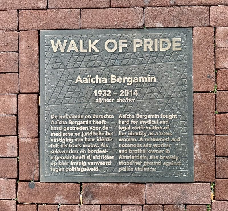 Aaïcha Bergamin Marker. Click for full size. Aaïcha Bergamin Marker image. Click for full size.