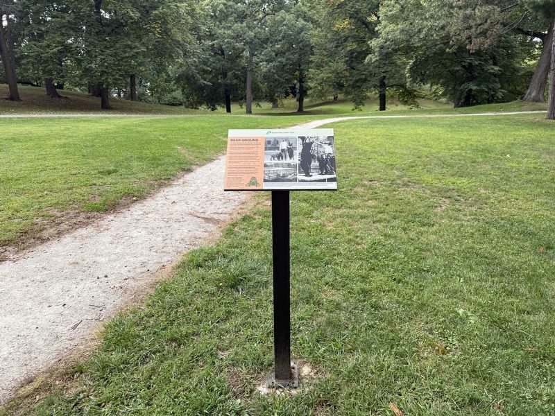 Bear Ground Marker. Click for full size. Bear Ground Marker image. Click for full size.
