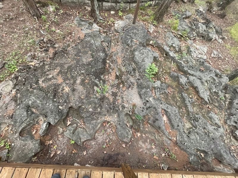 Petroglyphs. Click for full size. Petroglyphs image. Click for full size.