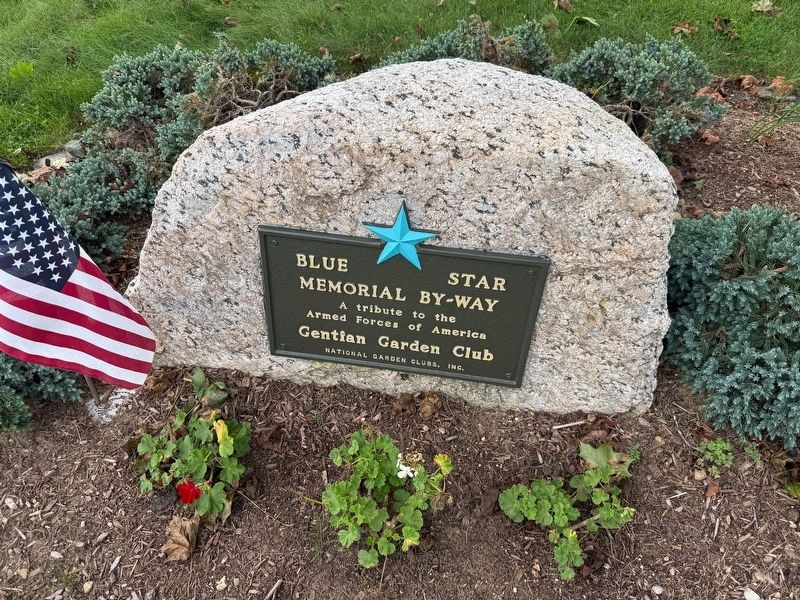 Blue Star Memorial By-Way signage nearby image. Click for full size.