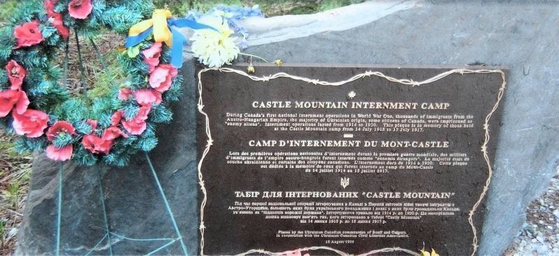 Marker detail: Castle Mountain Internment Camp image. Click for full size.