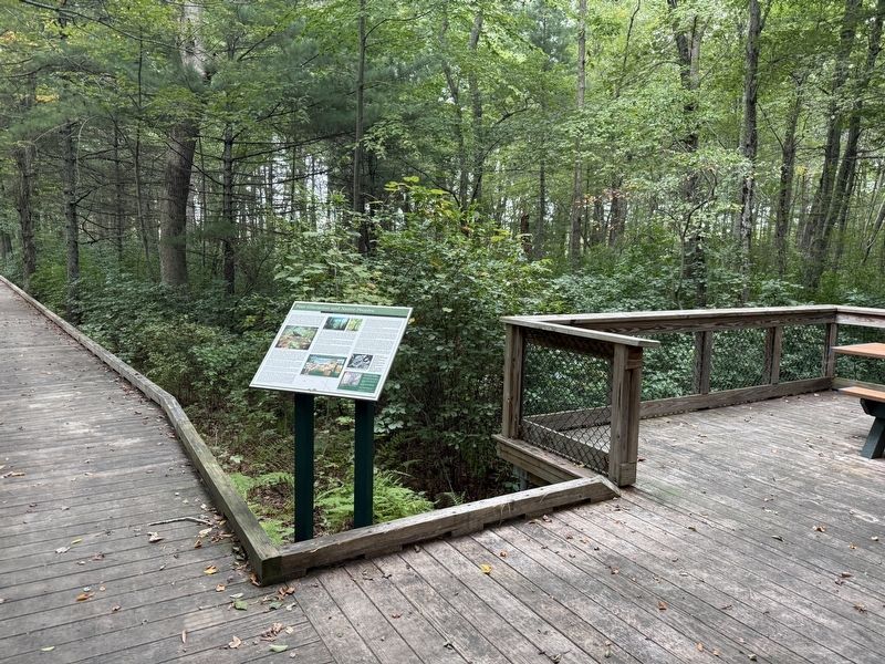 Post-Glaciation and Native Peoples Marker. Click for full size. Post-Glaciation and Native Peoples Marker image. Click for full size.