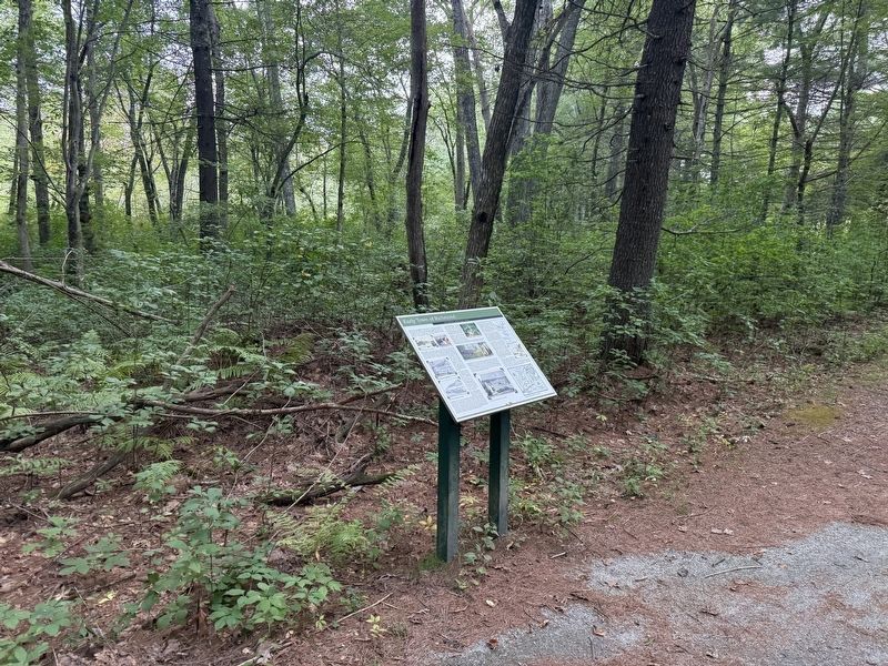 Early Town of Richmond Marker. Click for full size. Early Town of Richmond Marker image. Click for full size.