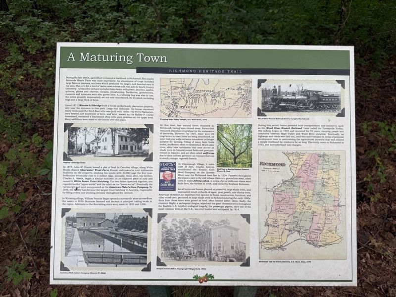 A Maturing Town Marker. Click for full size. A Maturing Town Marker image. Click for full size.