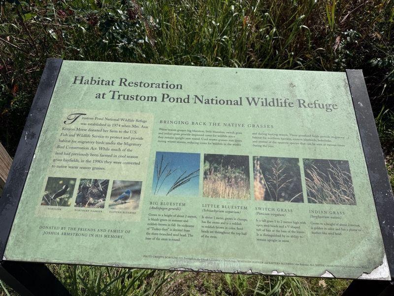 Habitat Restoration at Trustom Pond National Wildlife Refuge Marker. Click for full size. Habitat Restoration at Trustom Pond National Wildlife Refuge Marker image. Click for full size.