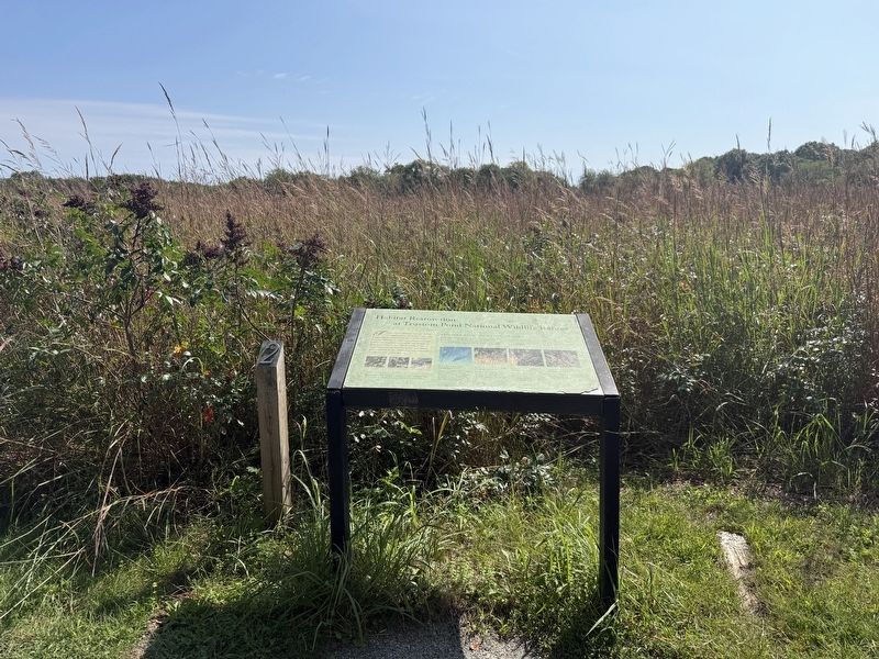 Habitat Restoration at Trustom Pond National Wildlife Refuge Marker. Click for full size. Habitat Restoration at Trustom Pond National Wildlife Refuge Marker image. Click for full size.