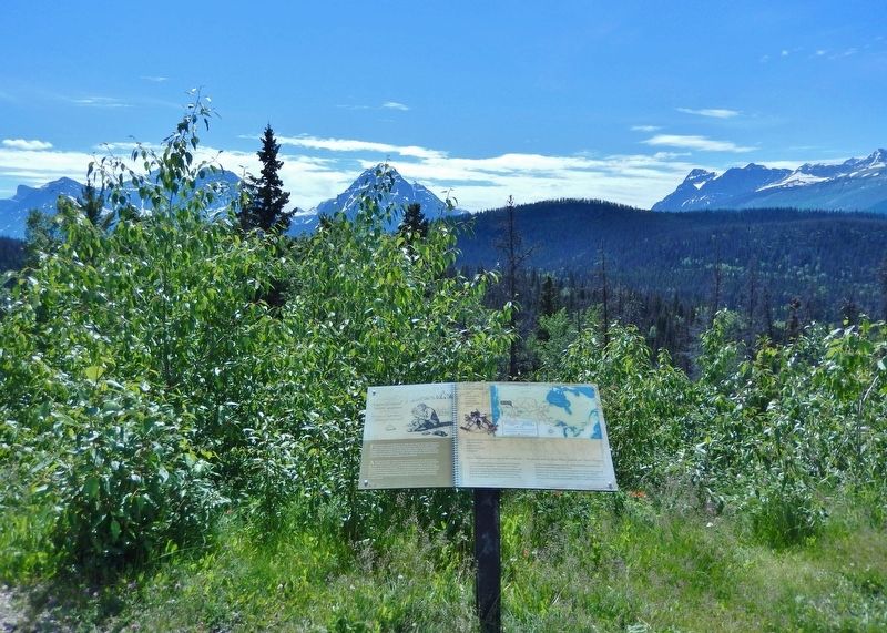 David Thompson Marker. Click for full size. David Thompson Marker image. Click for full size.