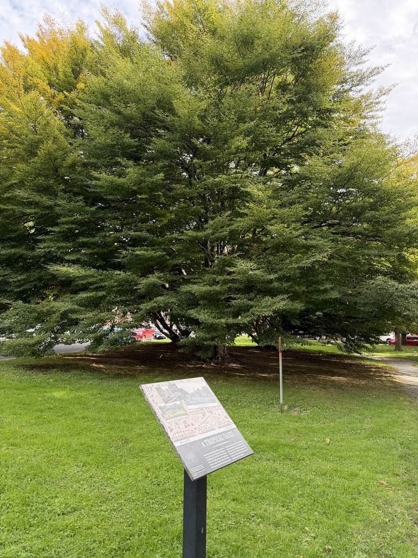A Tropical Oasis Marker. Click for full size. A Tropical Oasis Marker image. Click for full size.