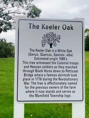 The Keeler Oak Marker 2024. Click for full size. The Keeler Oak Marker 2024 image. Click for full size.