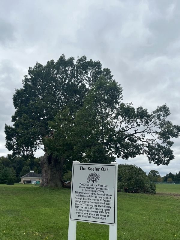 The Keeler Oak Marker. Click for full size. The Keeler Oak Marker image. Click for full size.