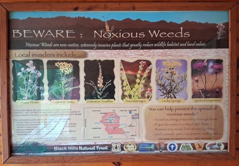Noxious Weeds Marker. Click for full size. Noxious Weeds Marker image. Click for full size.