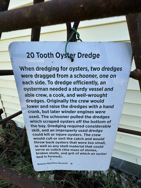 20 Tooth Oyster Dredge Marker. Click for full size. 20 Tooth Oyster Dredge Marker image. Click for full size.