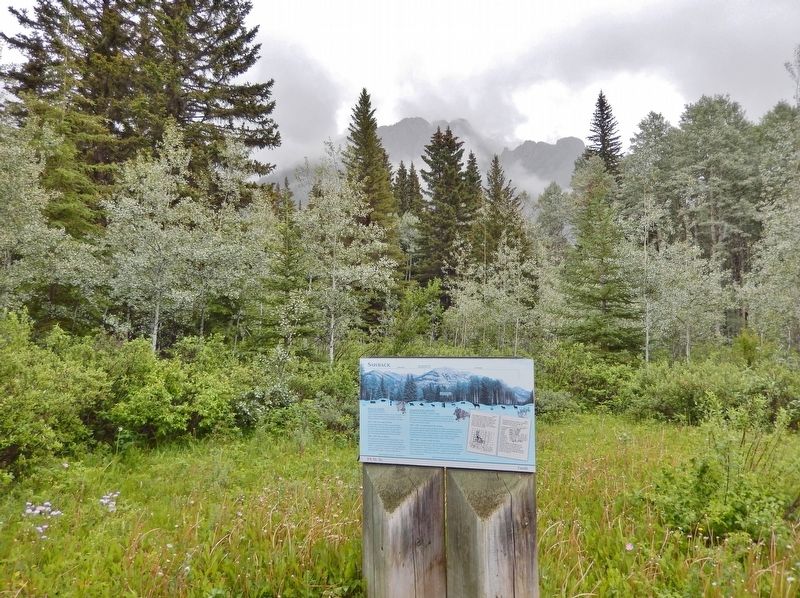 Sawback Marker. Click for full size. Sawback Marker image. Click for full size.