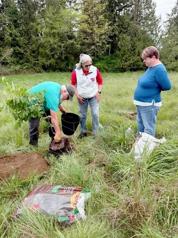Planting the tree image. Click for full size.