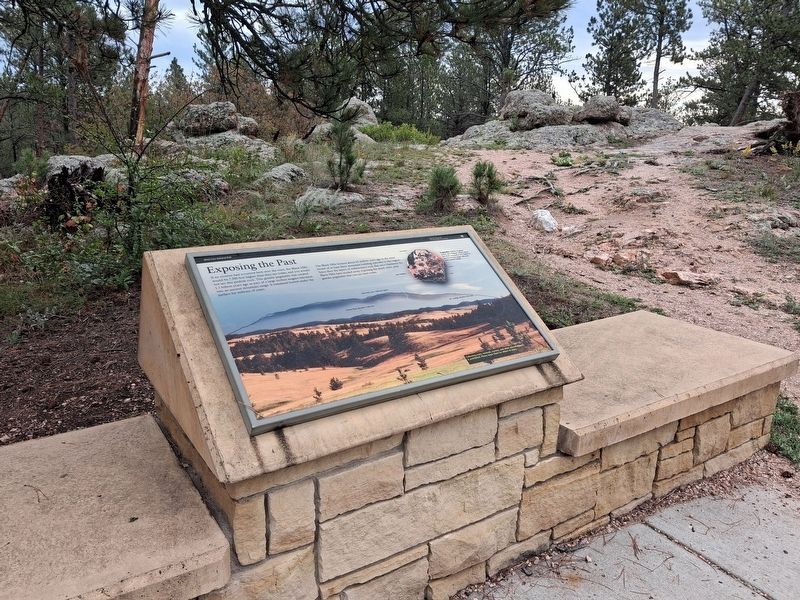 Exposing the Past Marker. Click for full size. Exposing the Past Marker image. Click for full size.