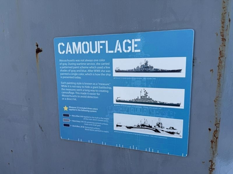 Camouflage Marker. Click for full size. Camouflage Marker image. Click for full size.