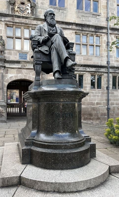 Darwin Statue. Click for full size. Darwin Statue image. Click for full size.