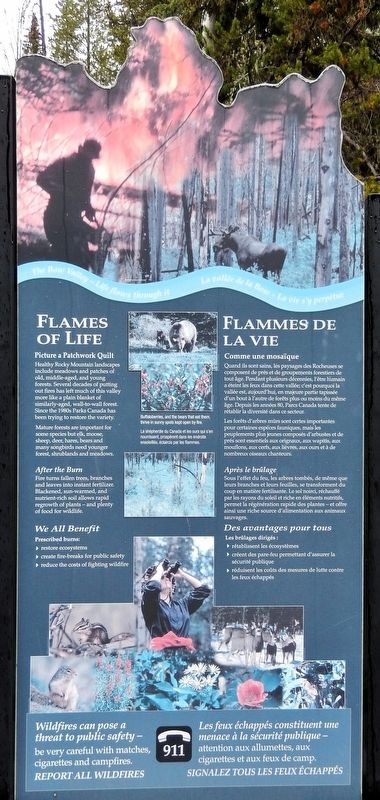 Flames of Life / Flammes de la vie Marker. Click for full size. Flames of Life / Flammes de la vie Marker image. Click for full size.