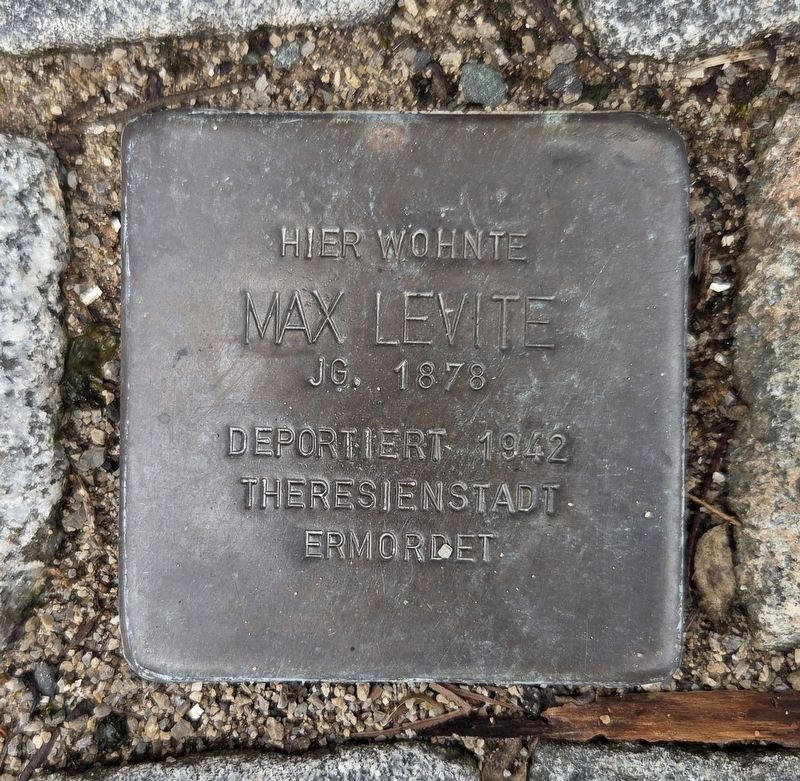 Max Levite Marker. Click for full size. Max Levite Marker image. Click for full size.