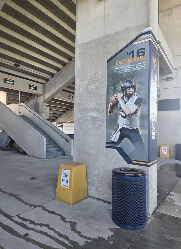 '16 Cactus Bowl Marker. Click for full size. '16 Cactus Bowl Marker image. Click for full size.