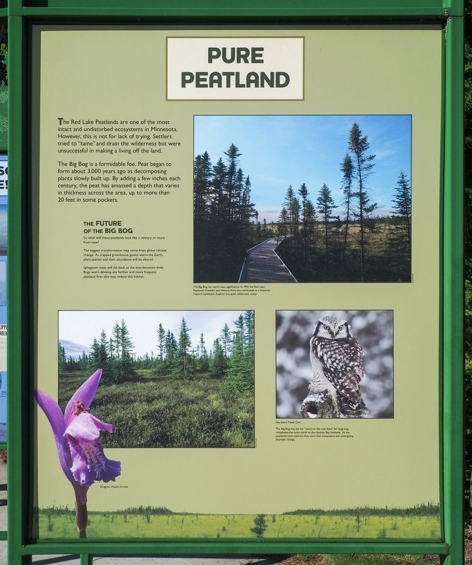 Pure Peatland / A Boring Story Marker. Click for full size. Pure Peatland / A Boring Story Marker image. Click for full size.