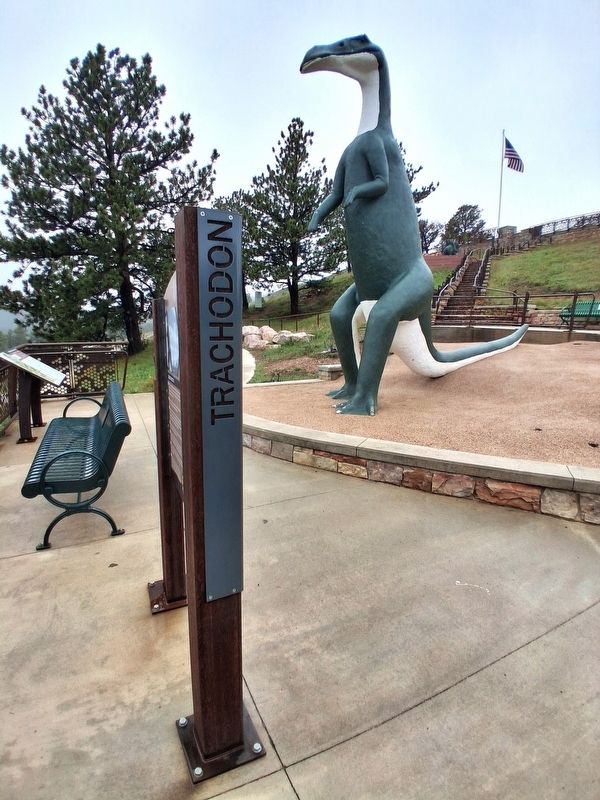 Trachodon Marker and Sculpture. Click for full size. Trachodon Marker and Sculpture image. Click for full size.