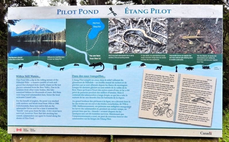 Pilot Pond / Étang Pilot Marker. Click for full size. Pilot Pond / Étang Pilot Marker image. Click for full size.