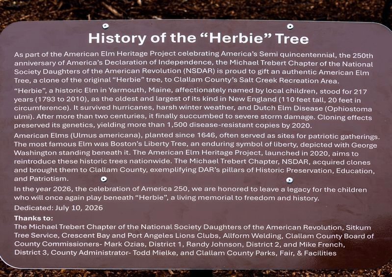Herbie Liberty Tree Elm Marker image. Click for full size.