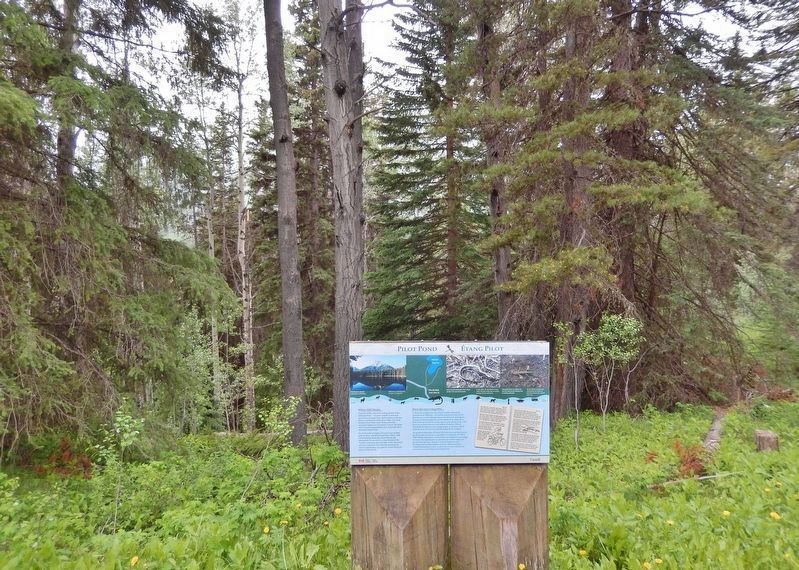 Pilot Pond / Étang Pilot Marker. Click for full size. Pilot Pond / Étang Pilot Marker image. Click for full size.