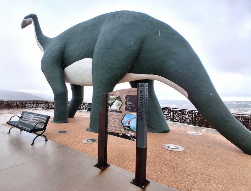 Apatosaurus Marker and Sculpture. Click for full size. Apatosaurus Marker and Sculpture image. Click for full size.