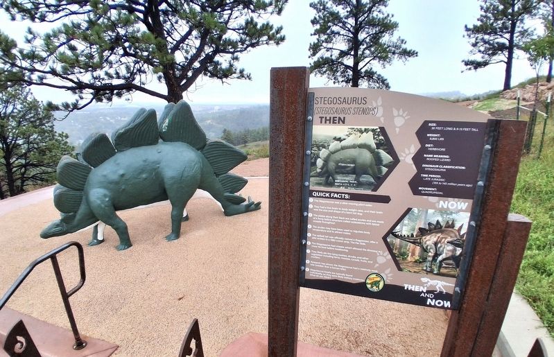 Stegosaurus Marker and Sculpture. Click for full size. Stegosaurus Marker and Sculpture image. Click for full size.