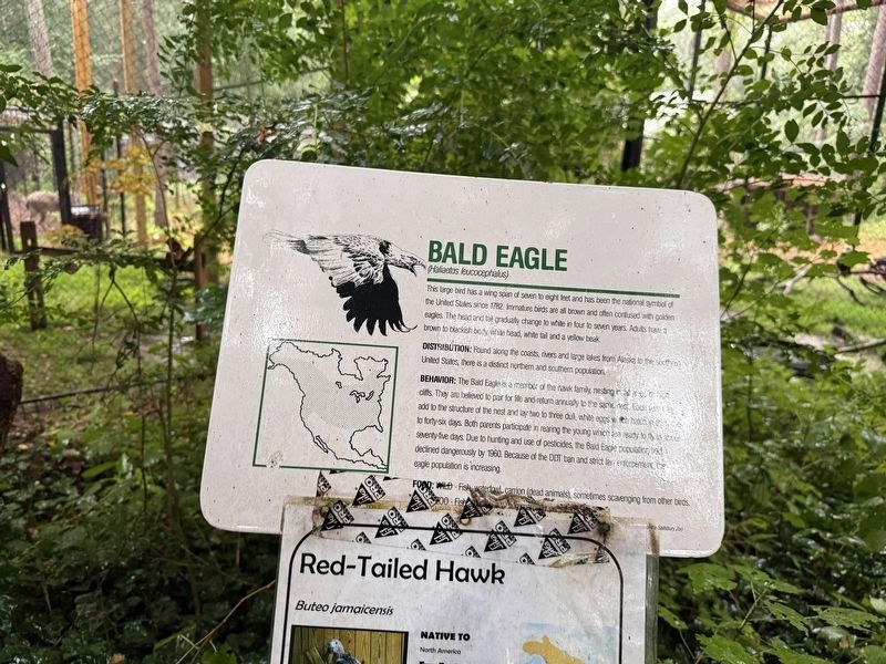 Bald Eagle Marker. Click for full size. Bald Eagle Marker image. Click for full size.