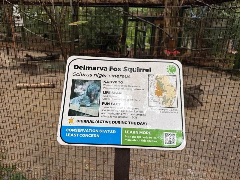 Delmarva Fox Squirrel Marker image. Click for full size.