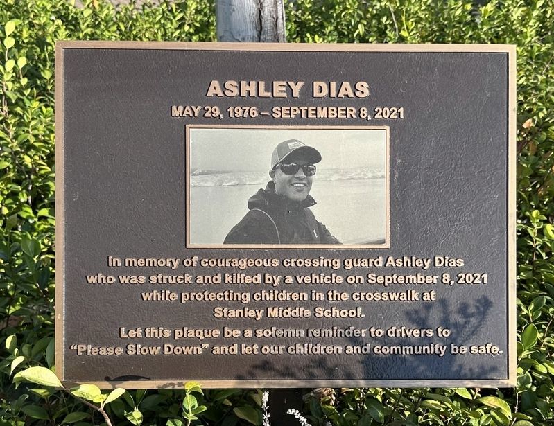 Ashley Dias Marker image. Click for full size.