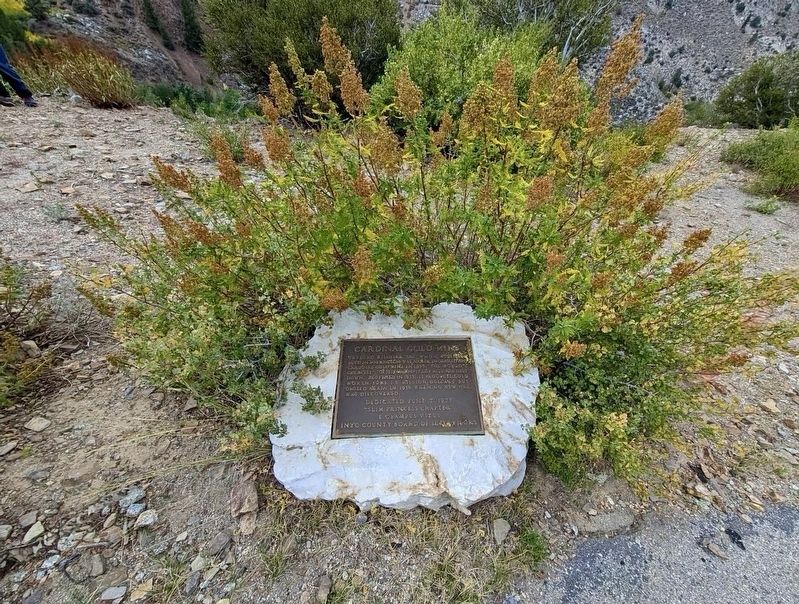 Cardinal Gold Mine Marker. Click for full size. Cardinal Gold Mine Marker image. Click for full size.