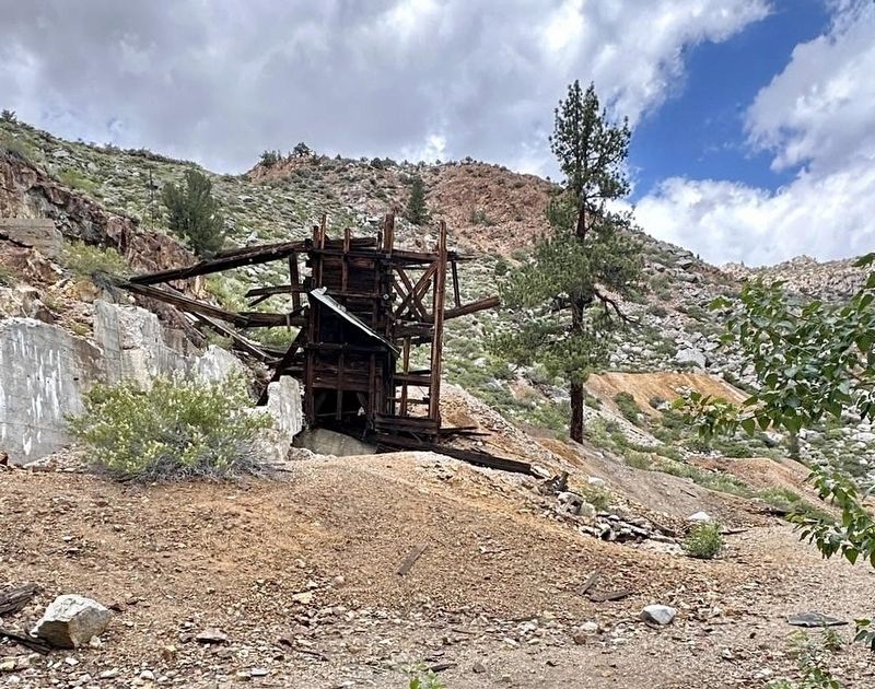 Cardinal Gold Mine. Click for full size. Cardinal Gold Mine image. Click for full size.