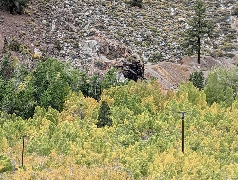 Cardinal Gold Mine. Click for full size. Cardinal Gold Mine image. Click for full size.