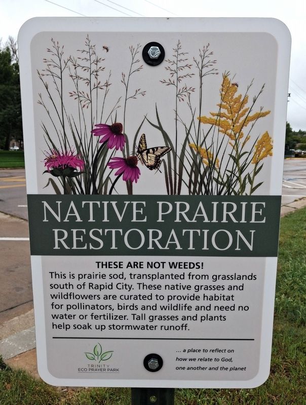 Native Prairie Restoration Marker. Click for full size. Native Prairie Restoration Marker image. Click for full size.