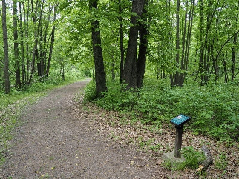 "Kathio" or "Isanti?" Marker on the Kathio Landmark Trail. Click for full size. "Kathio" or "Isanti?" Marker on the Kathio Landmark Trail image. Click for full size.