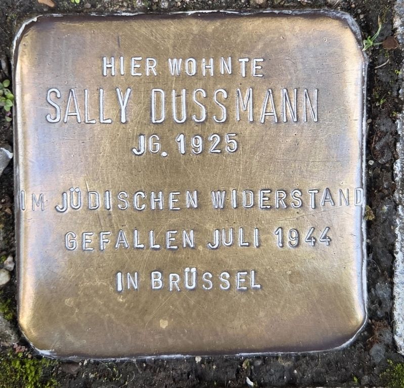 Sally Dussmann Marker. Click for full size. Sally Dussmann Marker image. Click for full size.