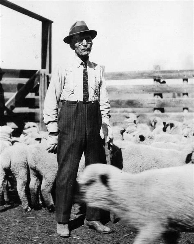 Henry Sieben image. Click for full size.