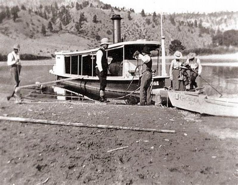 Steamboat <i>Rose</i> image. Click for full size.