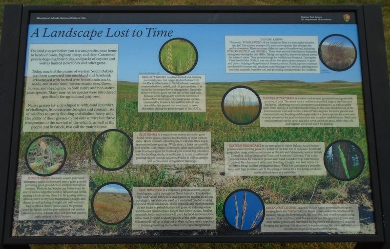 <i>A Landscape Lost to Time</i> Marker image. Click for full size.
