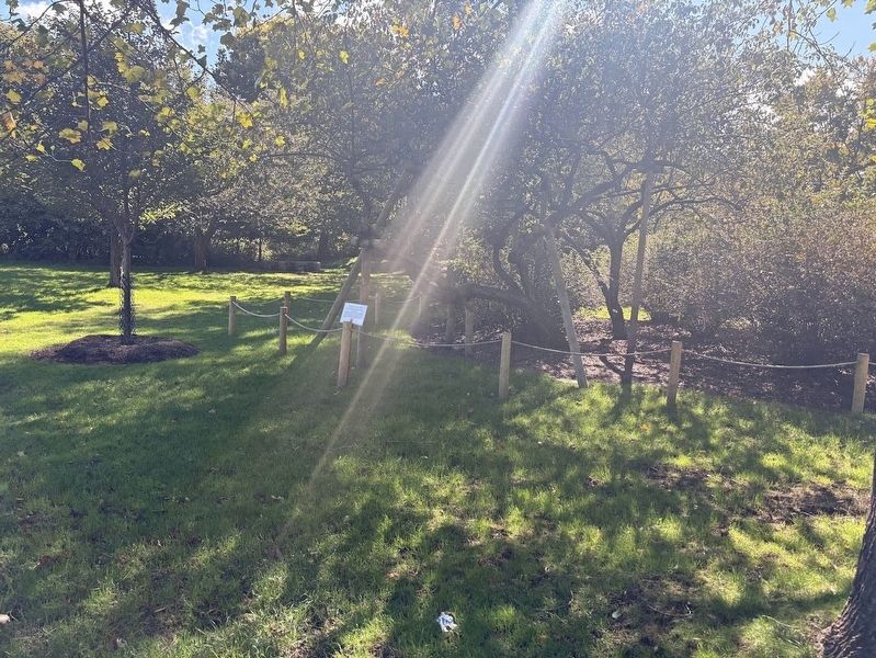 Legacy Tree Preservation Project, March, 2026 Marker image. Click for full size.
