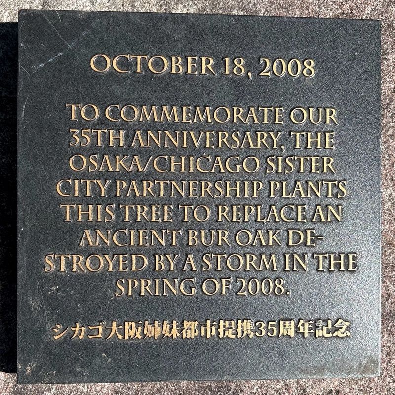 Osaka/Chicago Sister City Tree Marker. Click for full size. Osaka/Chicago Sister City Tree Marker image. Click for full size.